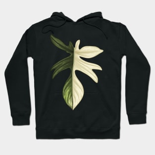 Philodendron Florida Beauty Big Leaf Hoodie